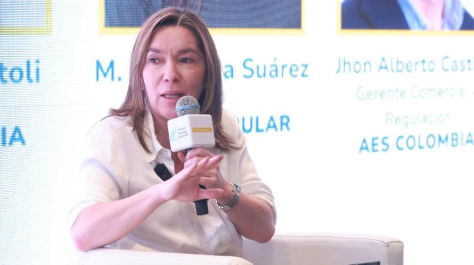 Sin reglas claras y una ejecución eficiente, la inversión energética en Colombia se estancará, advierte Suárez.