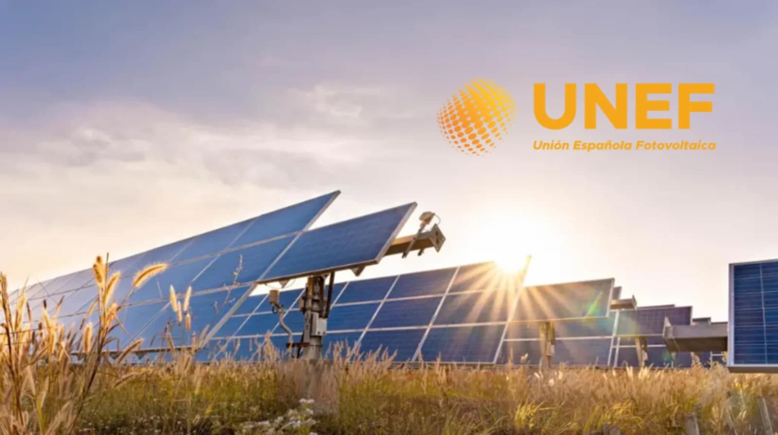 La fotovoltaica podría haber evitado el apagón, pero la regulación aún se lo impide