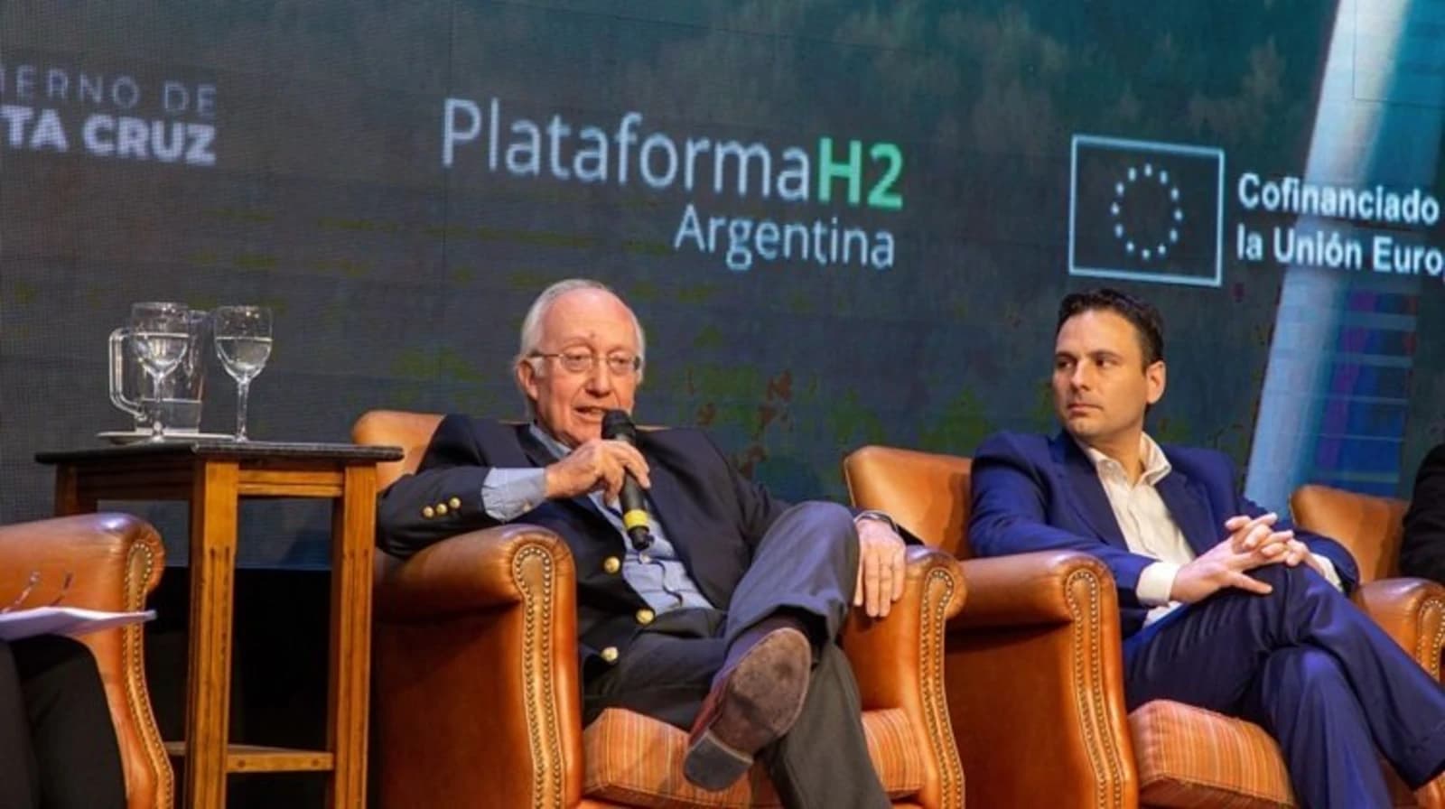 Ruiz Moreno: "La ley de renovables en Argentina debe renovarse, prorrogarse o complementarse con la iniciativa que se decida