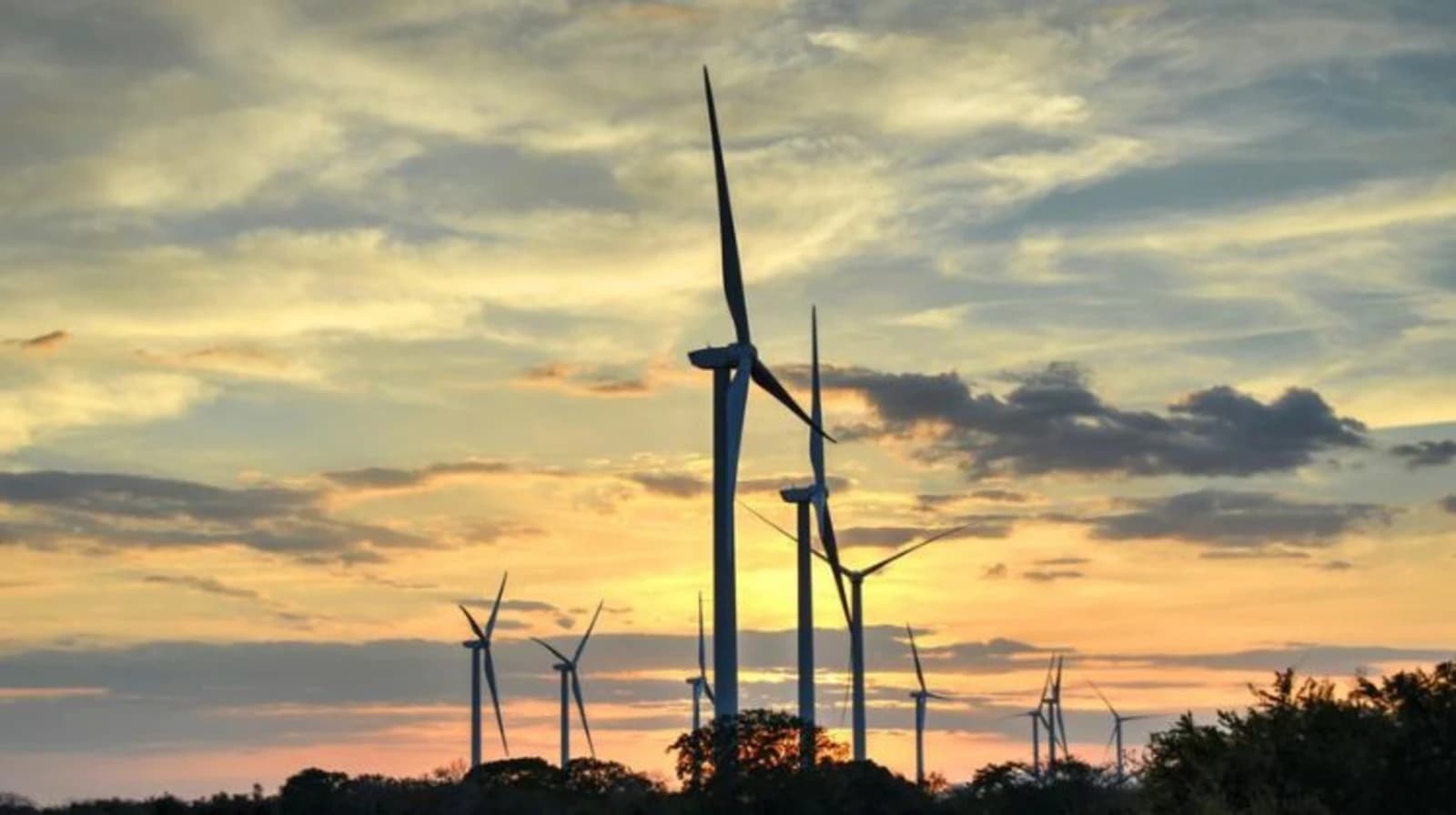 They request the resumption of the bidding process for 500 MW of renewable energy in Panama.