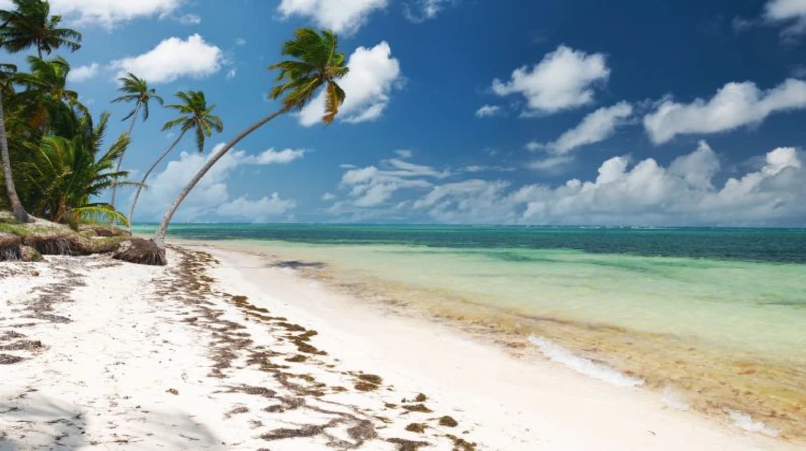 CIFI participates in a project that will redefine sustainable tourism in the Dominican Republic