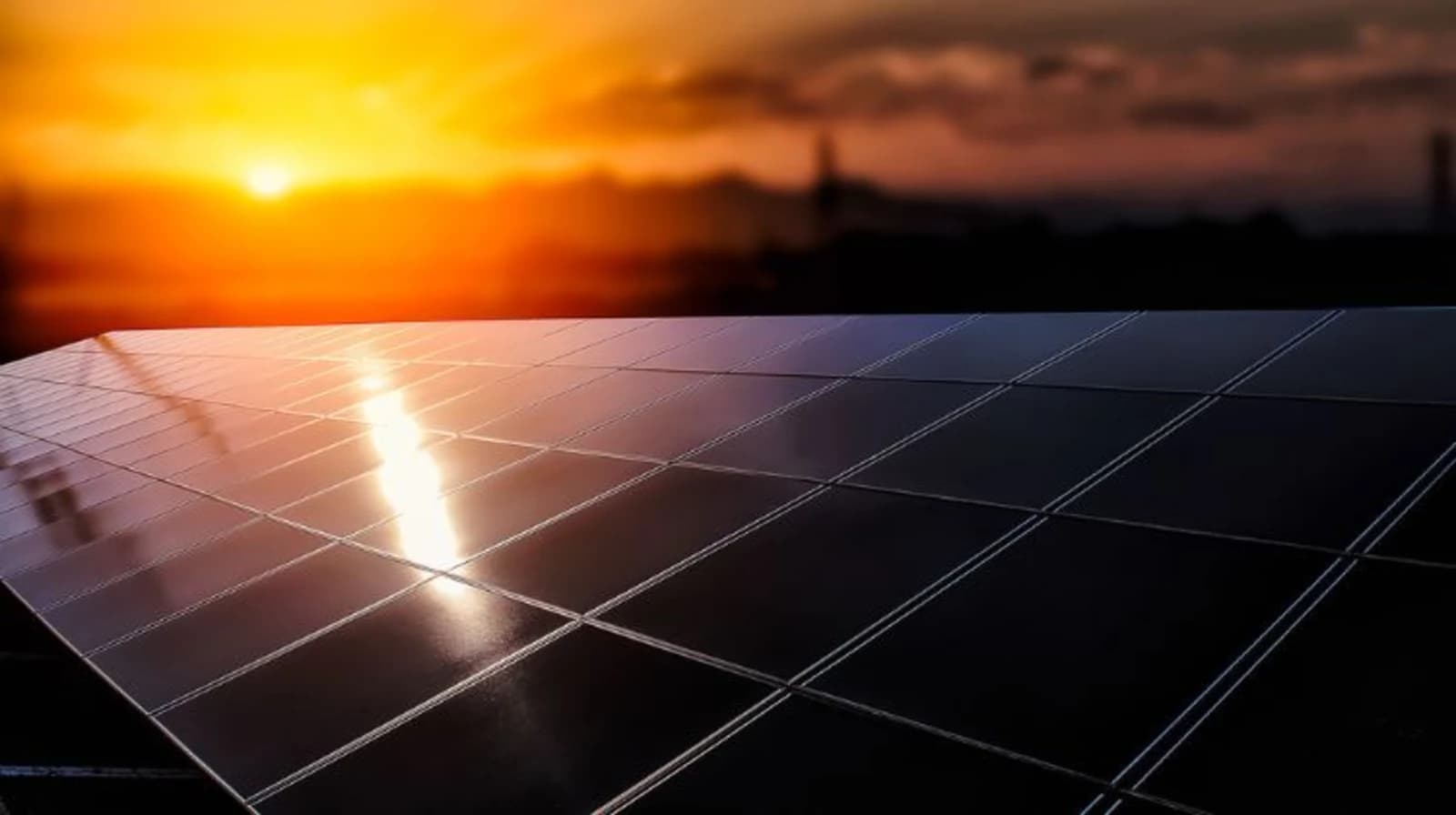 A Solea pretende adicionar 15 MW em 2024 e 100 MW nos próximos 5 anos.