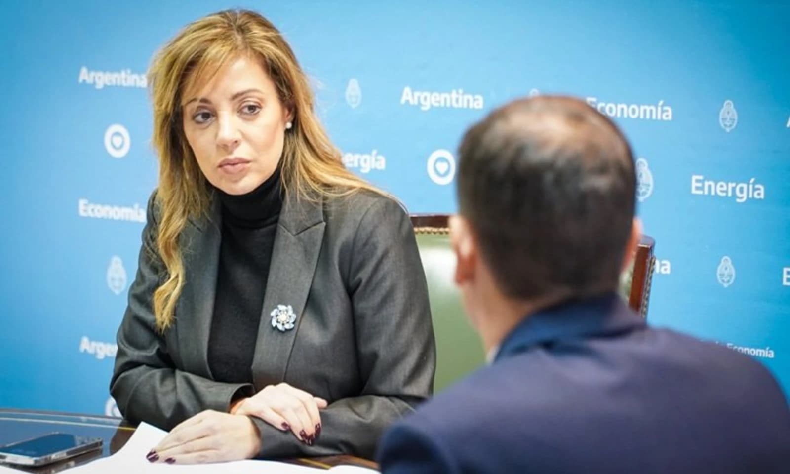 Governo argentino permite troca de multas por projetos fracassados por novos investimentos em energia renovável.