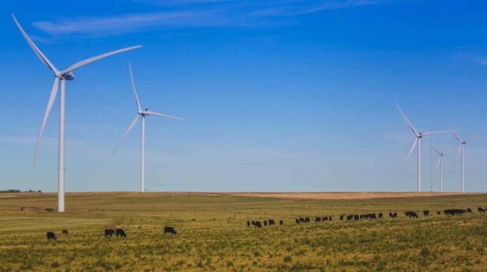 Onshore wind energy in South America will grow by 122% by 2032
