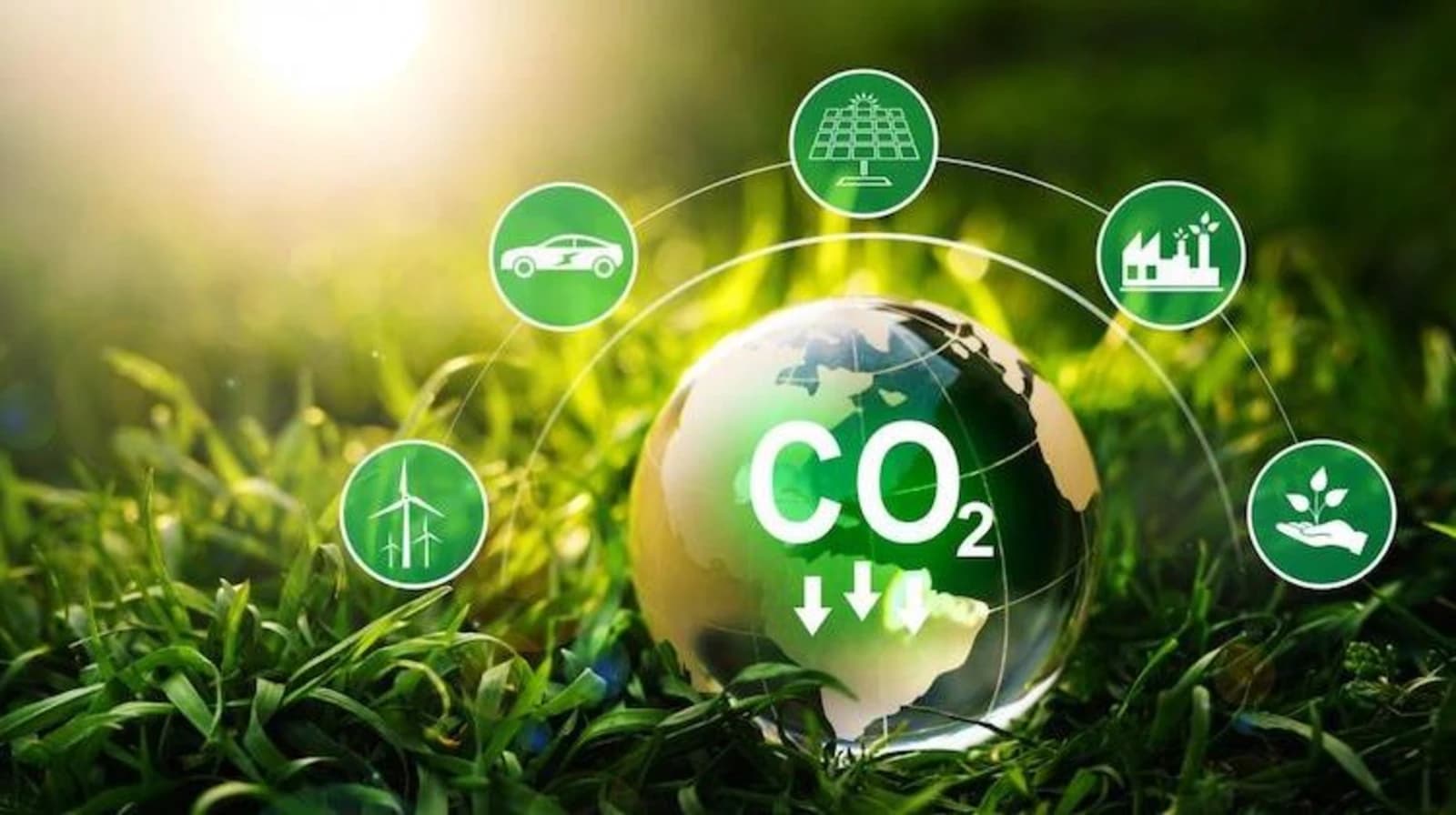 Regulus destaca factores claves del CBAM, impuesto que busca garantizar objetivos climáticos