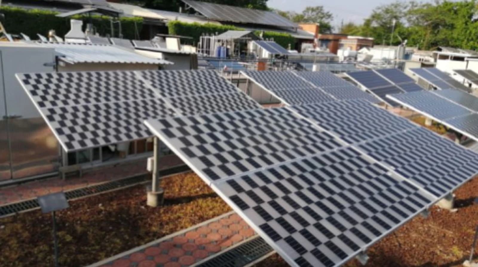 IER-UNAM e Solarever apresentam um novo projeto para aplicar energia agrivoltaica no México.
