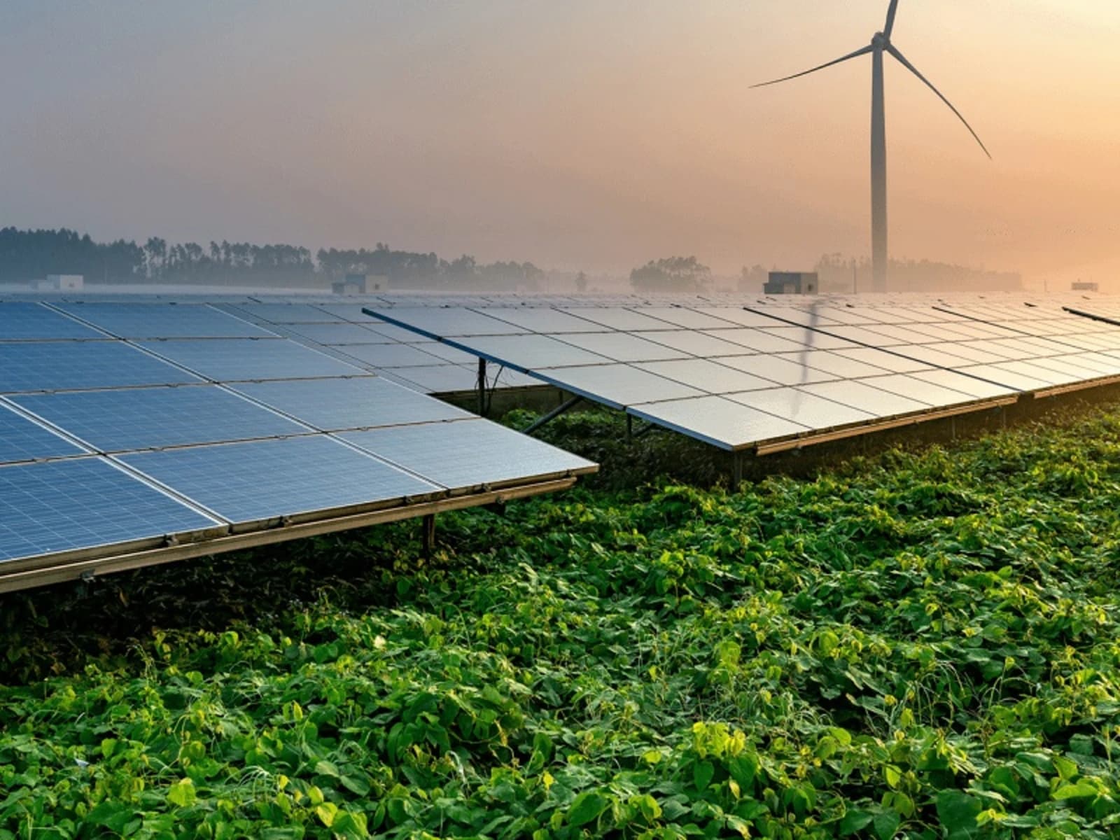 Equador: 80,1% da geração de eletricidade em 2021 veio de fontes renováveis.