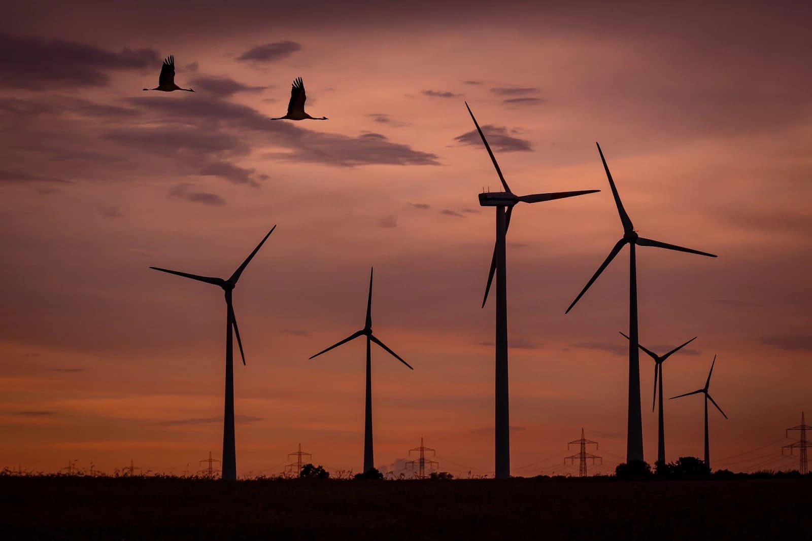 GIZ proyecta potencial de 1600 GW renovables para Tamaulipas