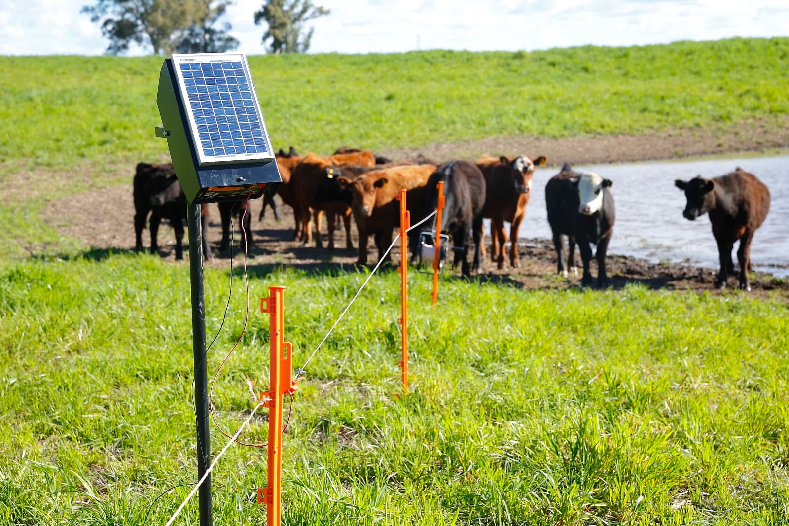 PERMER: 2.975 cercas elétricas movidas a energia solar serão entregues a produtores rurais em oito províncias.