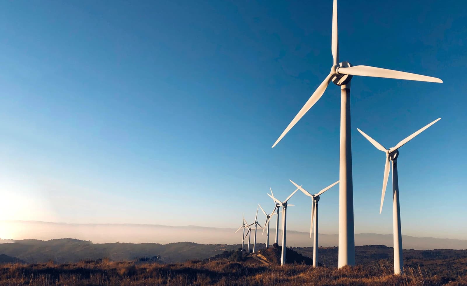 David Tauss hinted at new tenders for renewable energy in Argentina