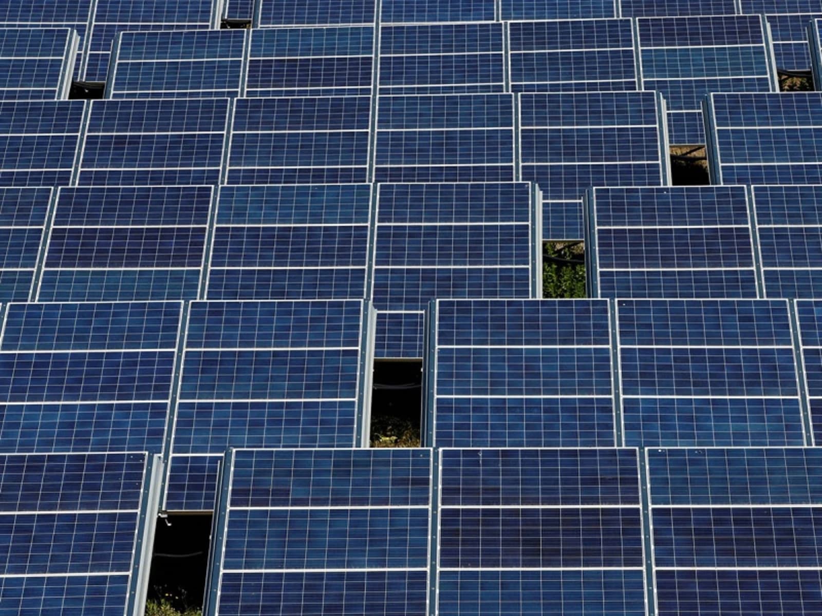 Jaime Solaun, da Solarpack: "Nunca vimos uma licitação tão disputada quanto a da usina solar de El Aromo."