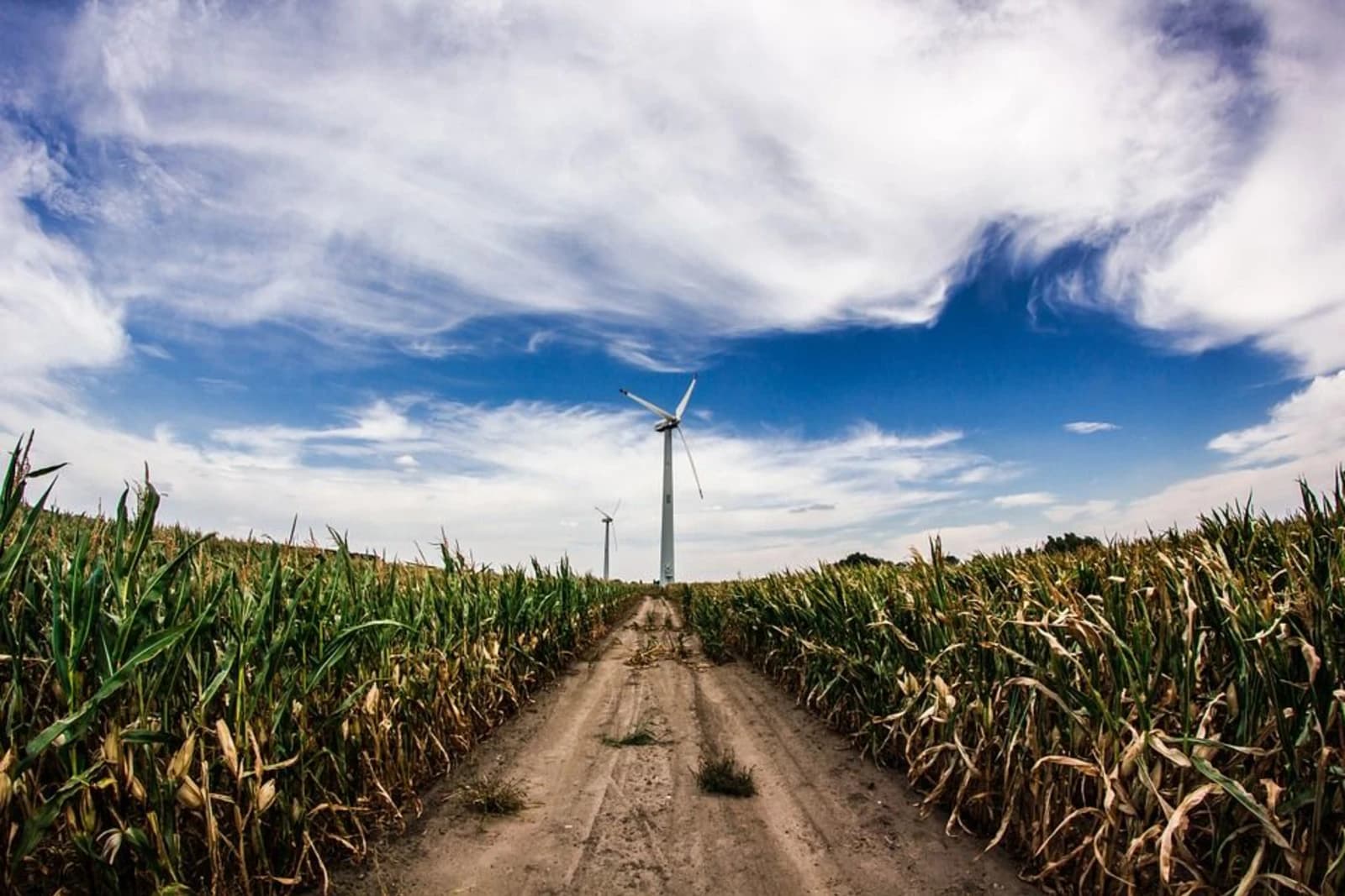 Incentives for renewable energy in Colombia prevented the emission of 470,000 tons of CO2