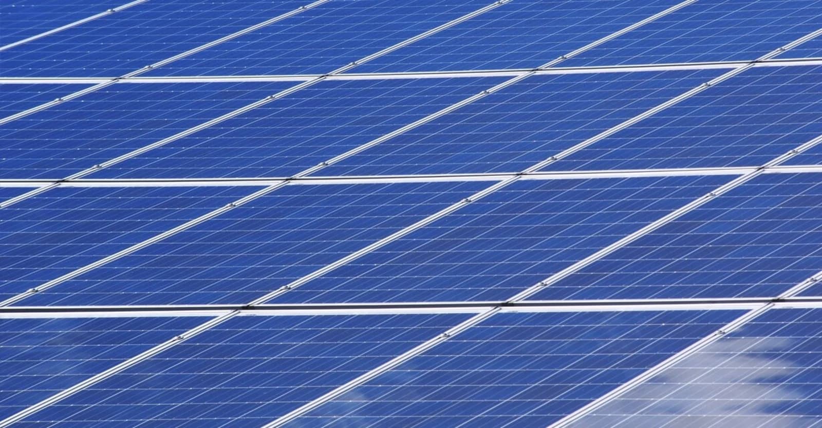 Business leaders propose that the government organize a renewable energy tender to cover the energy demand of desalination plants.