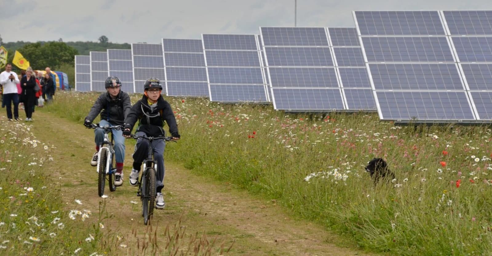 Energe joins in raising awareness of the rational use of energy on World Energy Efficiency Day