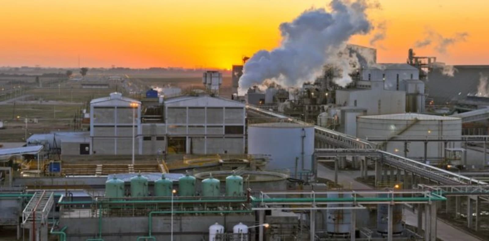 Renewable energy: Vicentín closed a major contract to supply its plants
