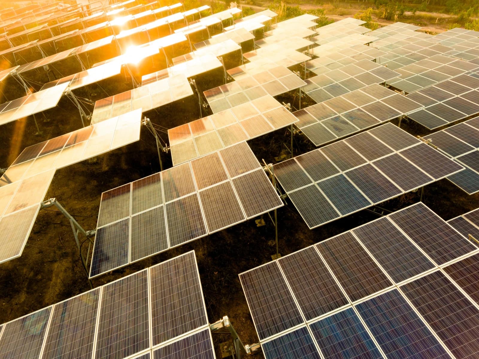 A Solarever aumentará a produção de painéis fotovoltaicos no México em 50%: a empresa está preparando novos desenvolvimentos em seus laboratórios de pesquisa.