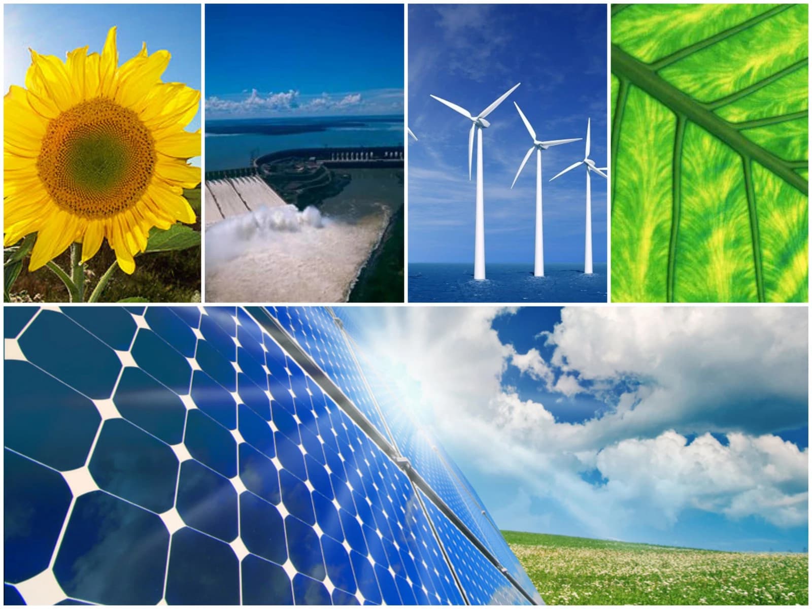 Opinion: Which conventional energy sources are best suited to the renewable energy transition?