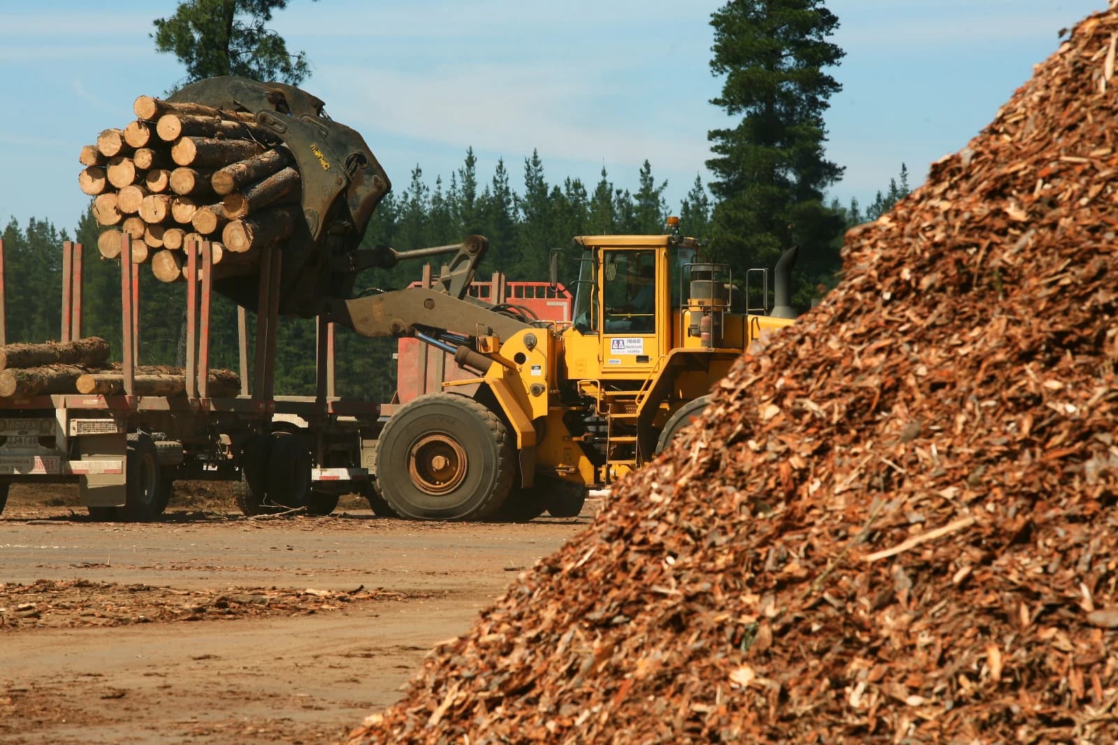 Zozen presents its biomass boilers to reduce greenhouse gas emissions