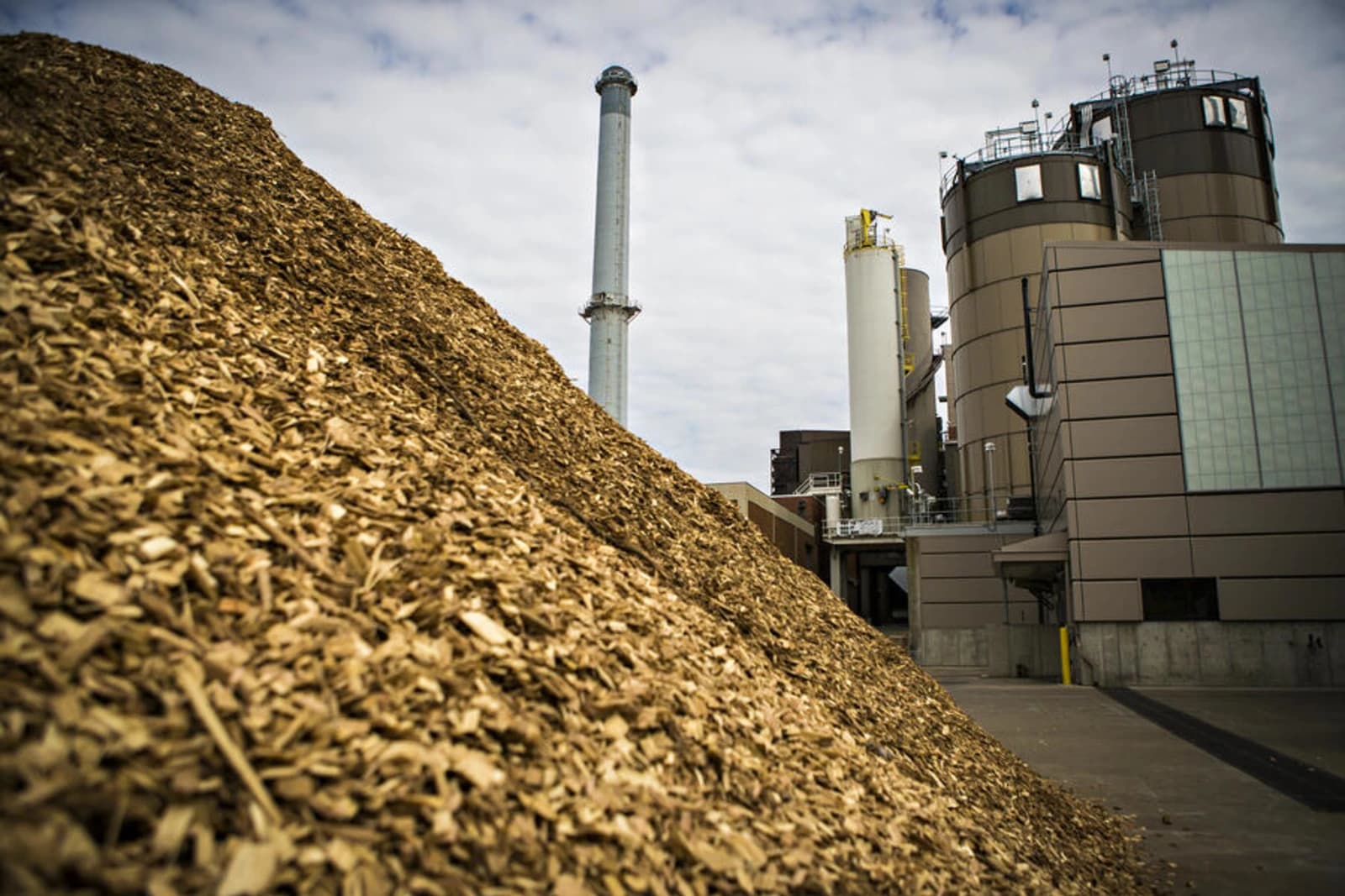 The Province of Corrientes is promoting its forestry industry and biomass.