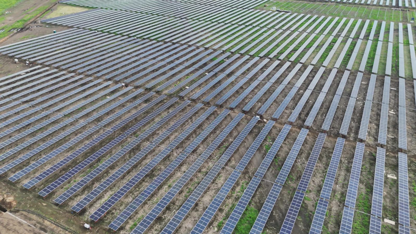 magdalena peg-5